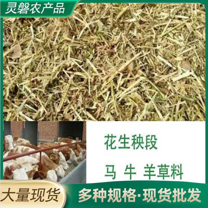 花生秧草料牛羊青贮饲料切断花生秧秸秆粗饲料干草料花生秧秸秆