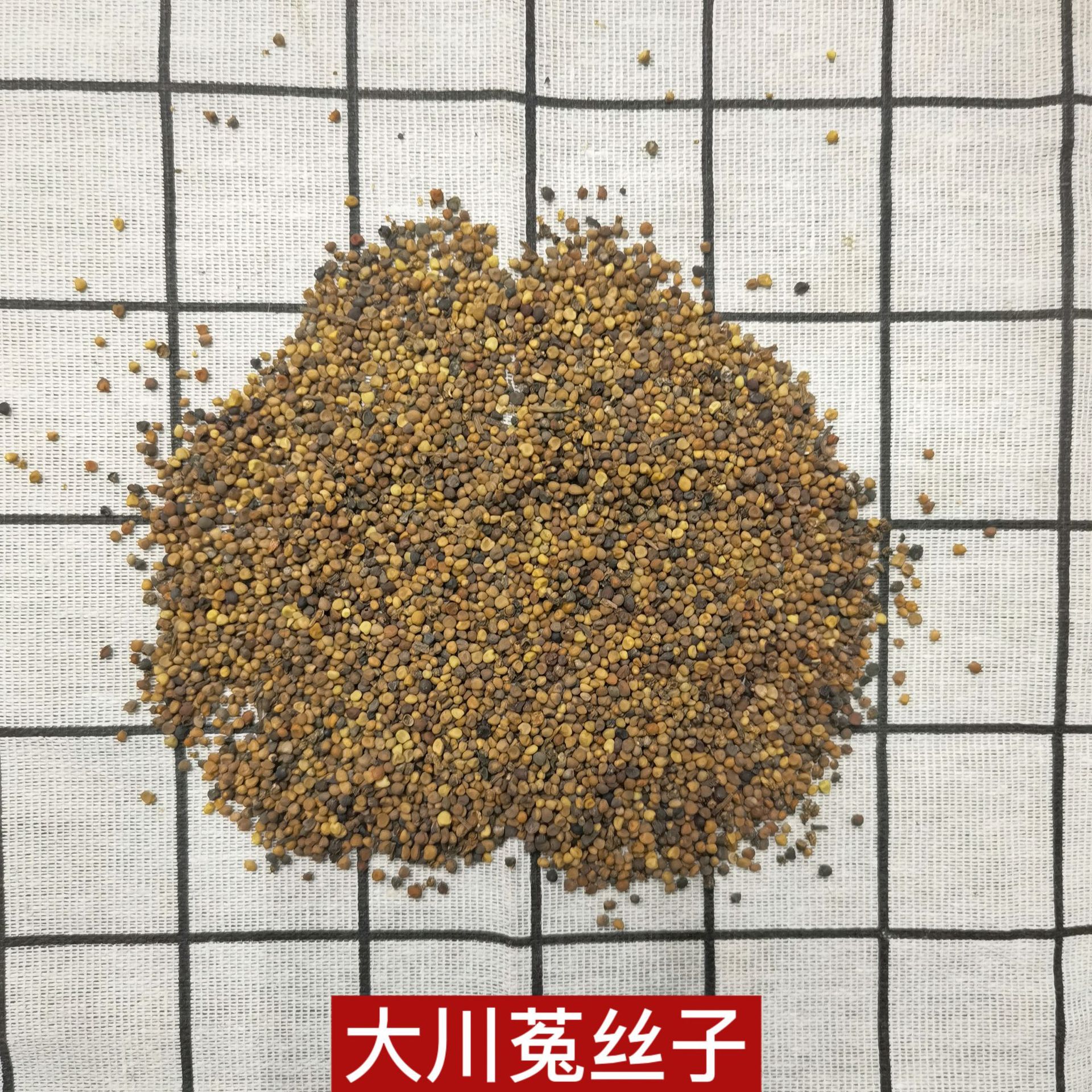产地货源四川 菟丝子 川菟丝子 大菟丝子 菟丝籽 500g 菟丝子