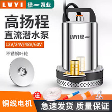 直流潜水泵12V24V48V60V伏电瓶车小型水泵电动车抽水泵农用抽水机