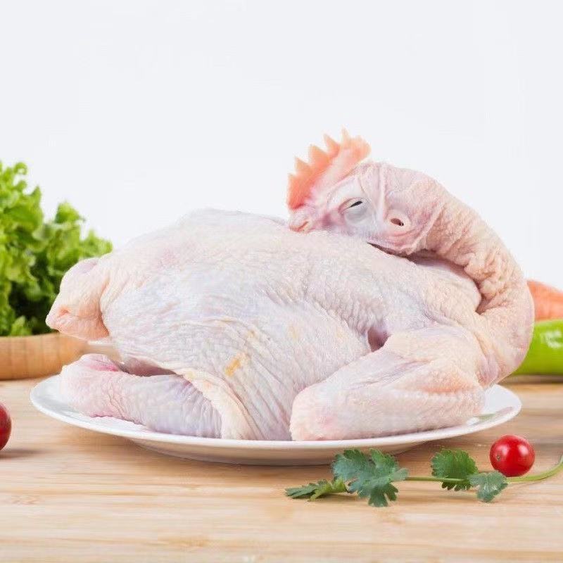 三黄鸡土鸡笨童子鸡农家散养农村走地整只鸡肉一件代发厂家批发