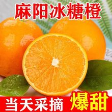 橙子批发麻阳冰糖橙5/10斤大果当季甜橙子包邮新鲜水果厂家速卖通