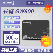 适用长城GW600 1TB  固态硬盘  SATA3.0  笔记本台式  GW6001T