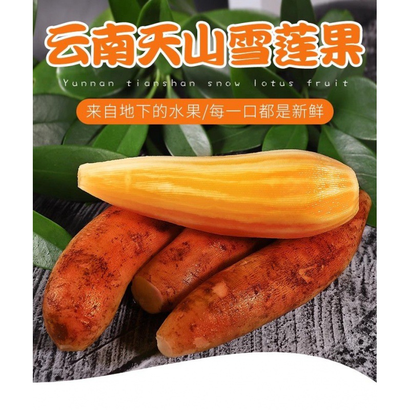 10斤云南天山雪莲果新鲜现挖红心当季水果整箱包邮5/1斤批发包邮