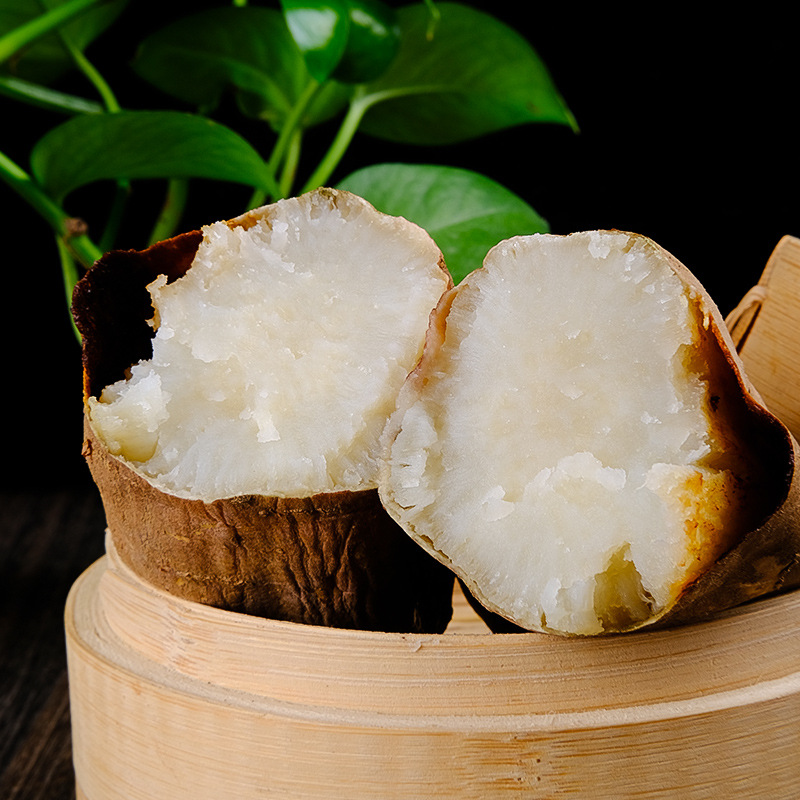 山东哈密冰糖薯糖心白蜜薯超甜农家自种沙地红薯番薯地瓜5斤