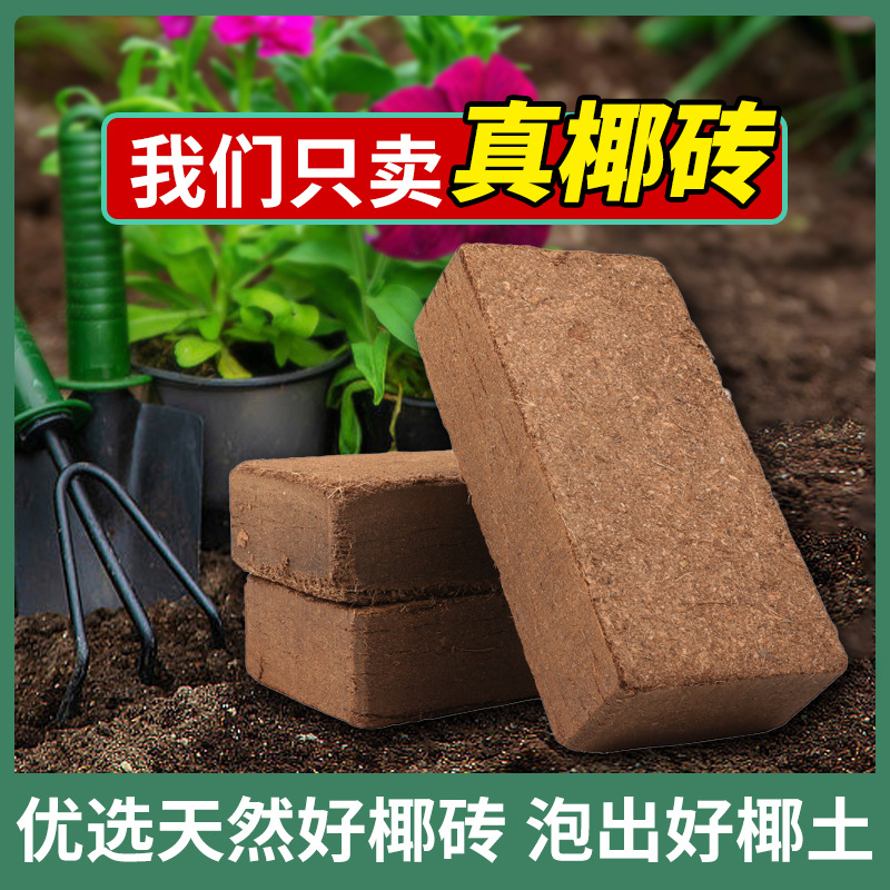 Coconut Shell Brick Nutrient Soil General-Purpose Ye Brick Coconut Bran Coconut Soil Wholesale Flower Growing Vegetables Coconut Shell Brick Desalted Flower Soil Coarse Coconut Shell