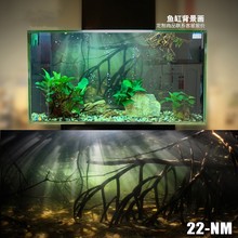 2024鱼缸背景贴纸渐变鱼缸底部背景贴画造景水族箱5d南美流水森林