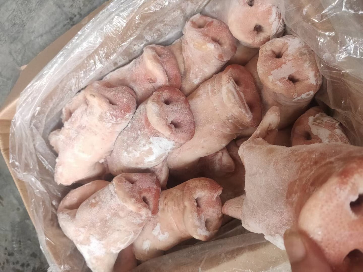 卤菜专用拱嘴 冷冻生猪头肉 新鲜猪拱嘴 整件20斤装 猪脸肉非腌制