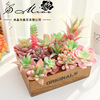 Flocking pink simulation Succulent plants flower arrangement parts DIY Supplies Succulent Tropical decorate Flocking pink simulation Succulent plants flower arrangement parts DIY Supplies Succulent Tropical decorate