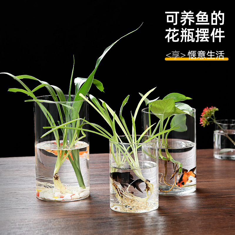 水培植物直筒玻璃花瓶创意高硼硅玻璃花盆艺术插花花瓶苔藓景观瓶