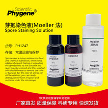芽孢染色液 (Moeller法) 3×20mL/3×50mL 科研实验检测 PHYGENE