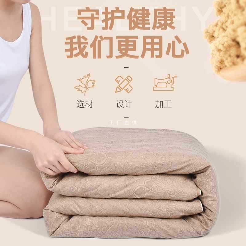 3obr10斤加厚纯艾绒棉被褥子1.