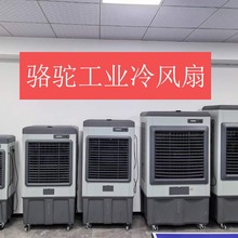 骆驼冷风机工业制冷水空调环保冷空调扇大型工厂车间单制冷风扇