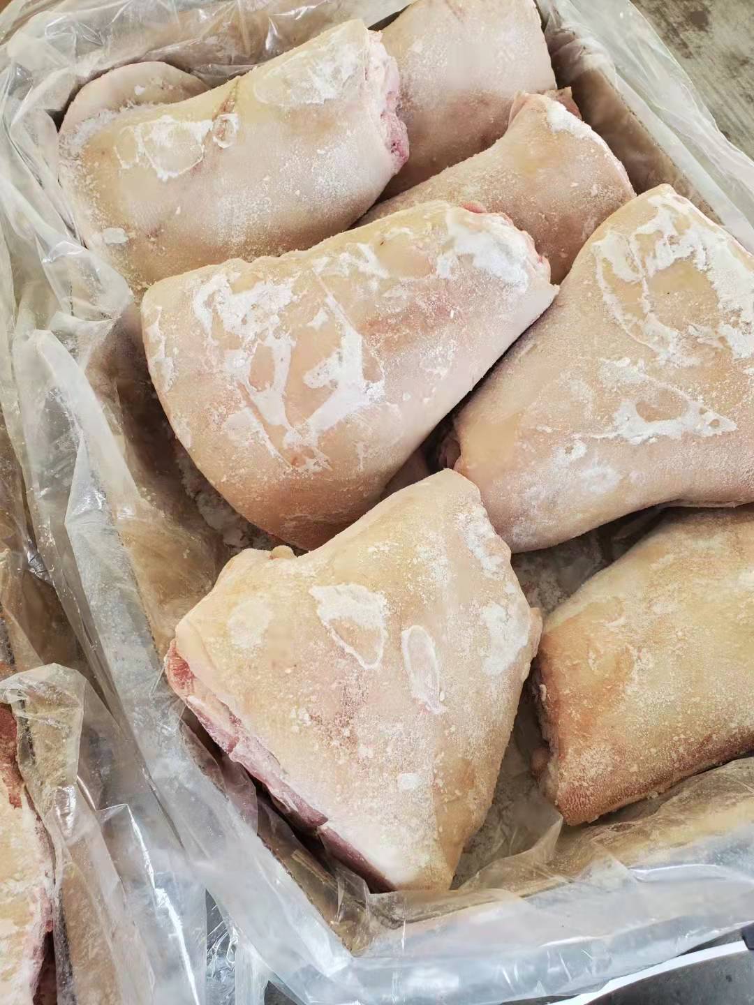厂家批发猪肘前后肘 冷冻猪肉 猪副产品猪大肠猪肘子冷冻食品