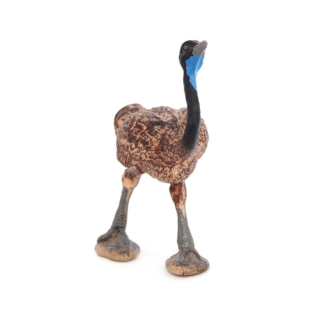 静态实心仿真野生动物模型儿童玩具鸸鹋澳洲鸵鸟科教认知礼物摆件