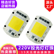 AC220V高压免驱动光源20w30w50w集成线性灯板 线性光源板投光灯板