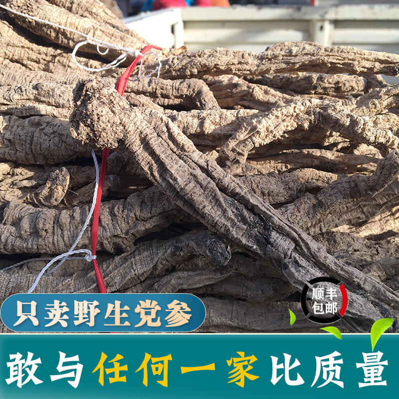 野生党参500g克新货批发无硫大条纹党叁当参甘肃特产中药材汤料