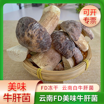 fd冻干菌菇云南特产牛肝菌干货非鲜牛肝菌批发冻干美味牛肝菌