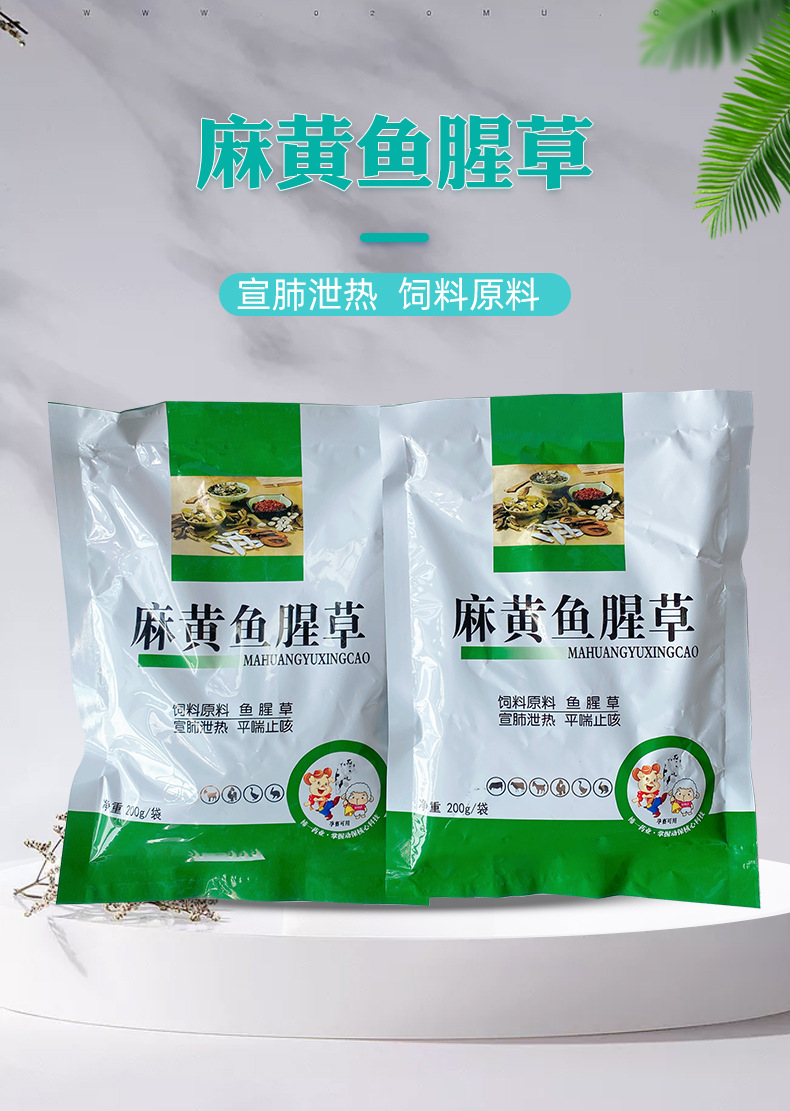 兽用麻黄鱼腥草孕畜可用兽药现货批发鱼腥草粉植物成份可长期饲喂