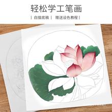 工笔画底稿白描画稿加厚初学者临摹入门描红套装国画宣纸练习卡纸