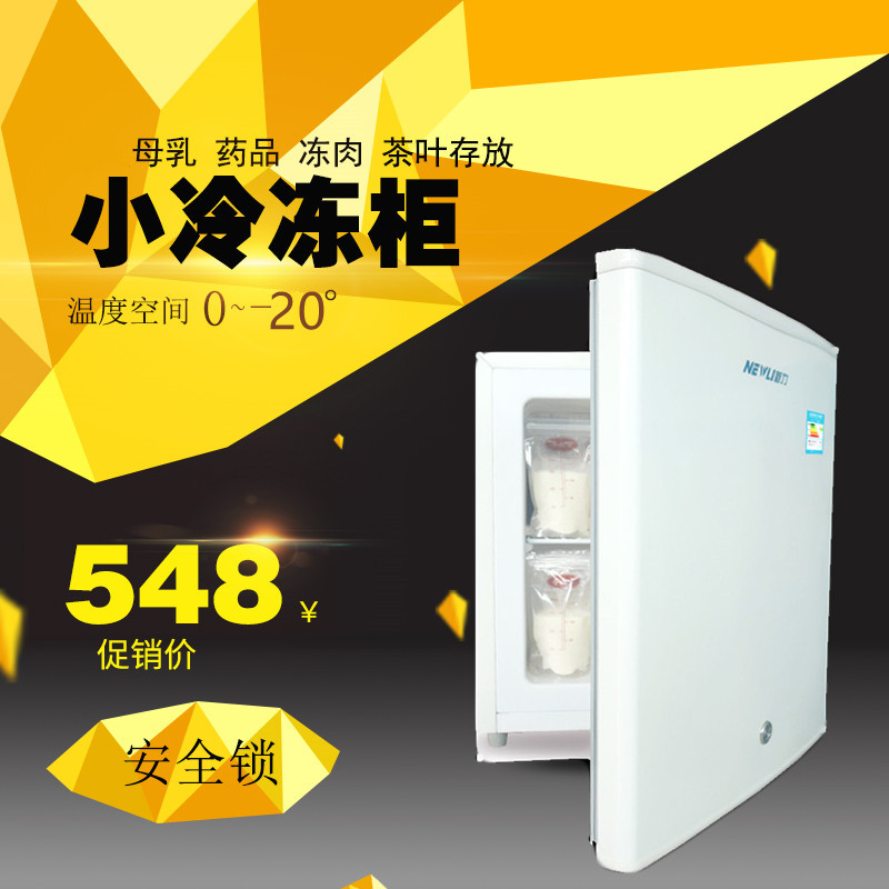 新力40L全冷冻冰箱冰淇淋柜小型家用冷柜茶叶冰柜母乳速冻柜冰柜
