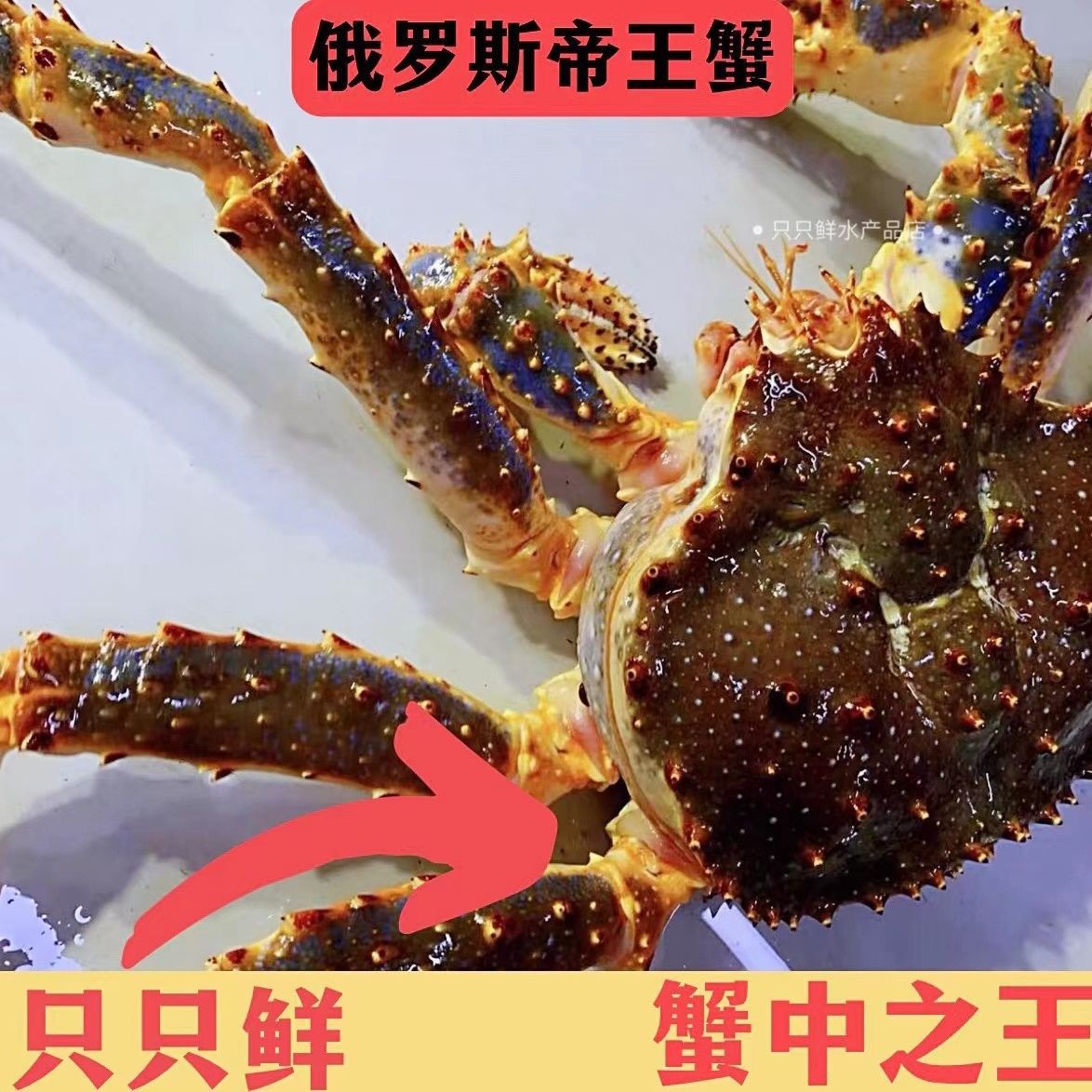 【顺丰包邮】帝王蟹3-15斤帝王蟹鲜活速冻蟹腿甜美肉质饱满冰鲜