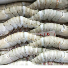 批发冷冻黑虎虾 越南草虾 斑马虾酒店餐饮水产海鲜礼盒团购