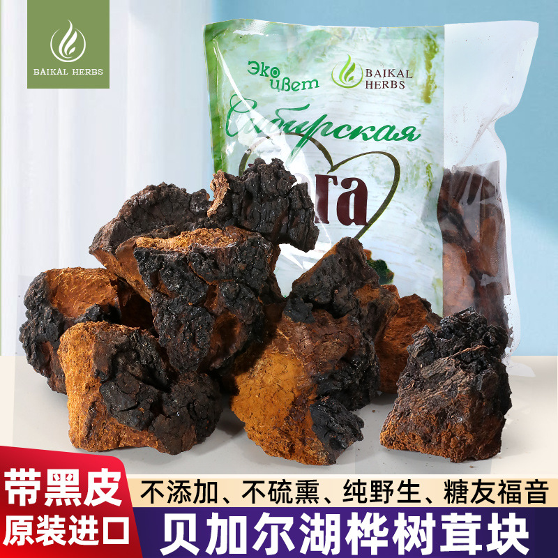 俄罗斯进口桦树茸白桦茸茶500克袋装黑金核桃大小黑皮块桦褐孔菌
