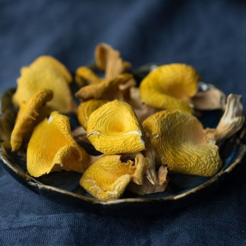 鸡油菌干货云南榆黄蘑菇黄丝菌野生菌子菇类菌菇煲汤食用100g批发