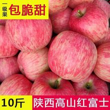 陕西冰糖心红富士苹果水果脆甜当季新鲜水果批发10斤批发