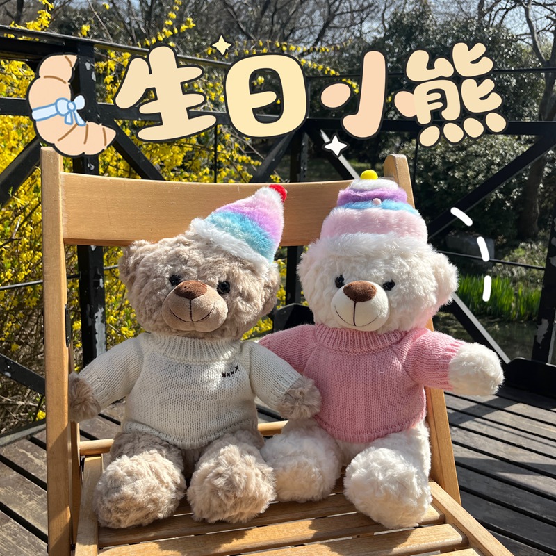 生日帽礼物小熊玩偶泰迪熊公仔毛绒玩具可爱熊娃娃生日礼物送女友