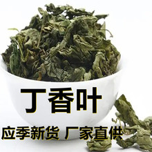 应季新货 新鲜丁香叶 花草茶500克/1斤散装 厂家直供 食用休闲茶