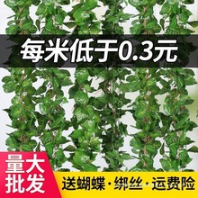 仿真葡萄叶假花藤条藤蔓植物塑料绿萝树叶子绿叶下水管道装饰吊顶