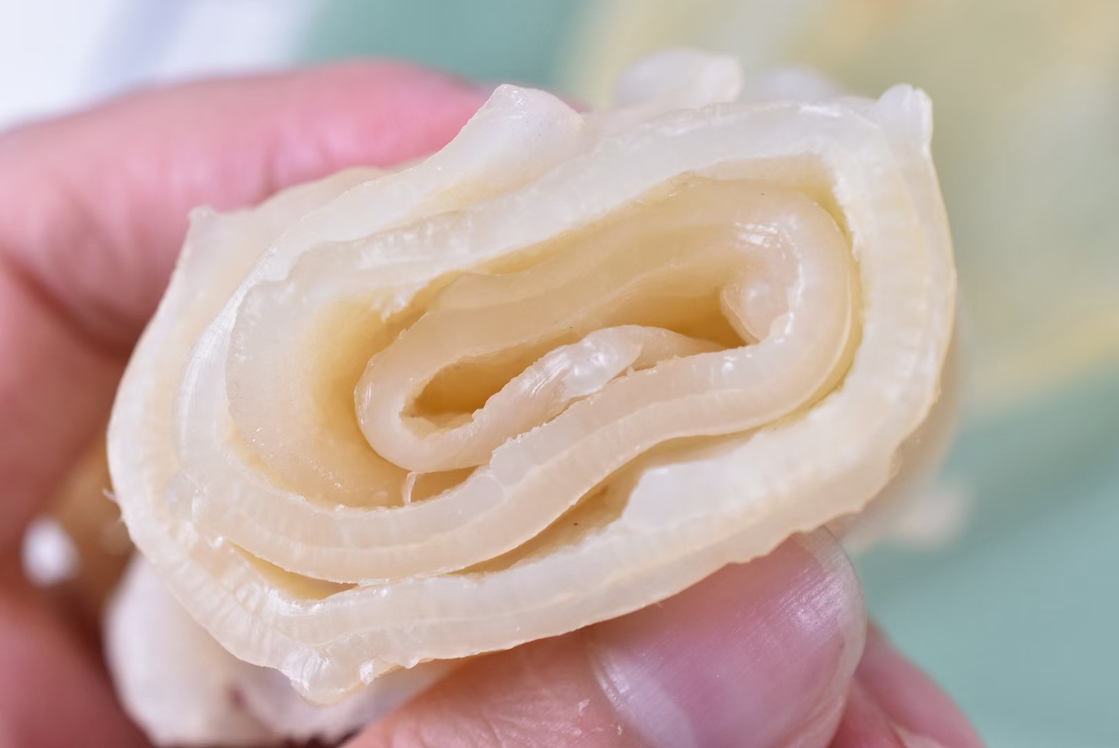 8头左右/斤鲶鱼胶巴沙胶花胶大量批发干货礼盒广州一德路渠道批发