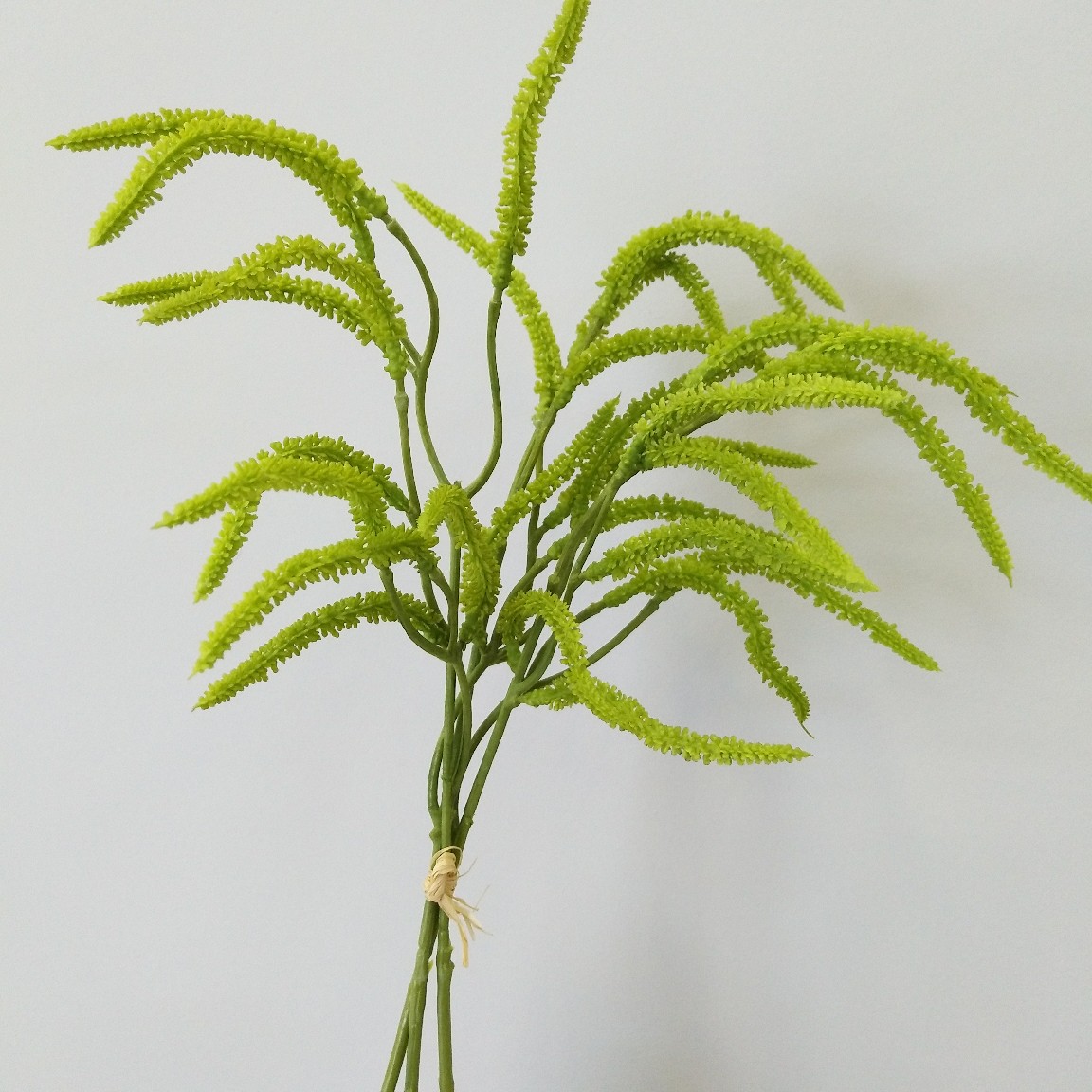 情人泪扎束狗尾草鼠尾草 北欧家居样板间插花装饰婚庆手捧把束草