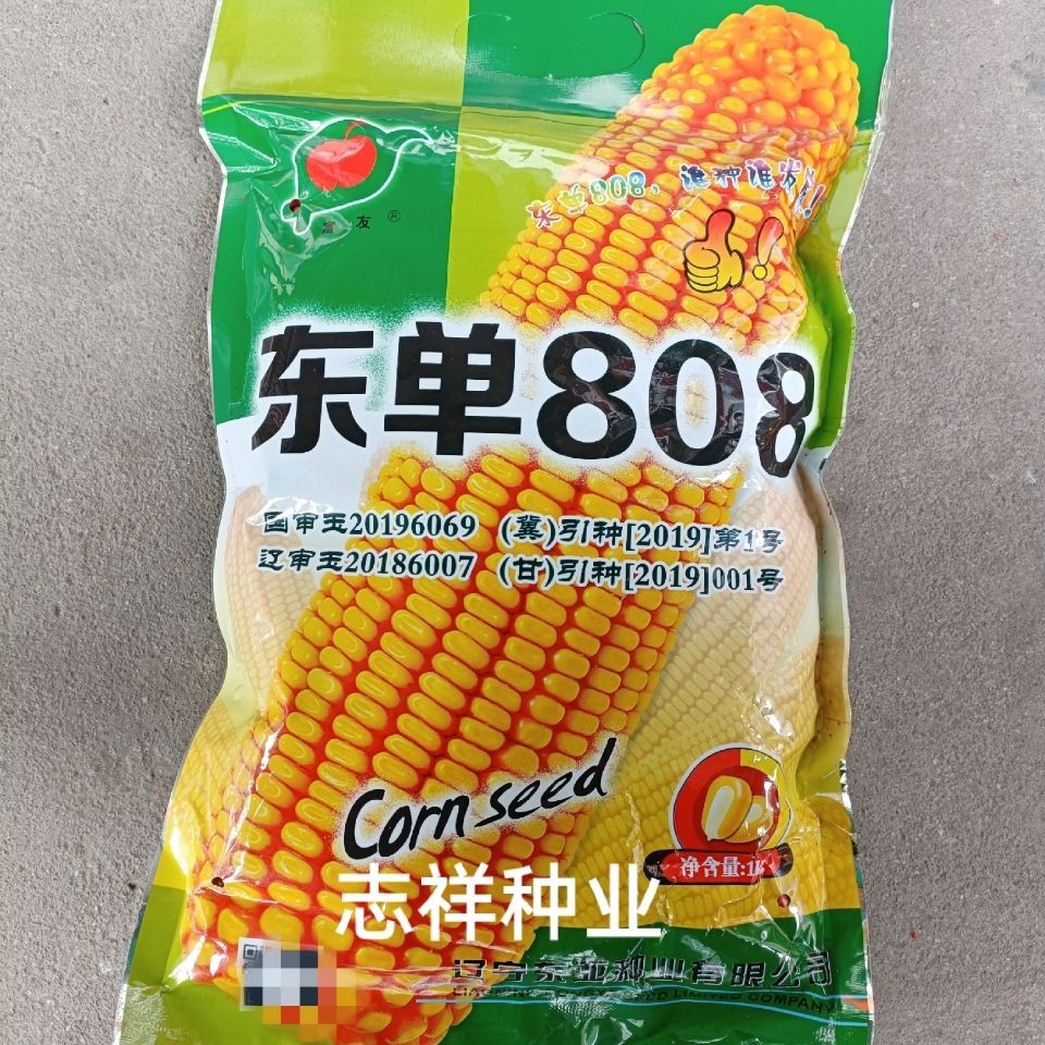 东亚东单808国审南方种植杂交玉米种子红轴黄粒饲料食用1公斤