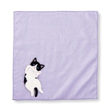 日系创意猫咪毛巾 儿童宝宝洗脸巾擦手巾 小奶猫手帕方巾礼品婴儿