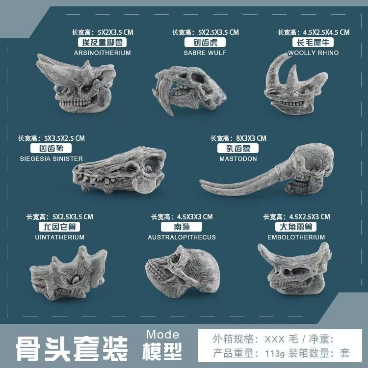 灰色 动物头骨【长毛犀牛 剑齿虎 埃及重脚兽 南猿 尤因它兽】8款