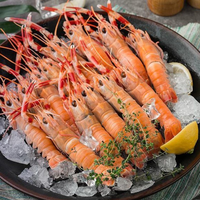 海鳌虾