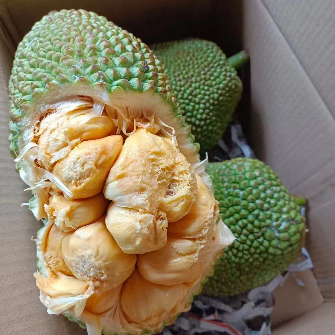 海南榴莲蜜应当季新鲜热带水果软糯香甜手撕湿苞尖蜜拉一整个包邮