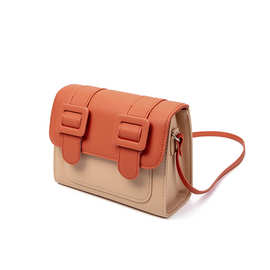 2022年新款剑桥包泰国小红书同款百搭女包学生邮差包批发一件代发