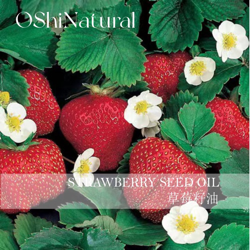 oshinatural 有机波兰草莓籽油 冷压初榨基础油 高品质芳香原料商