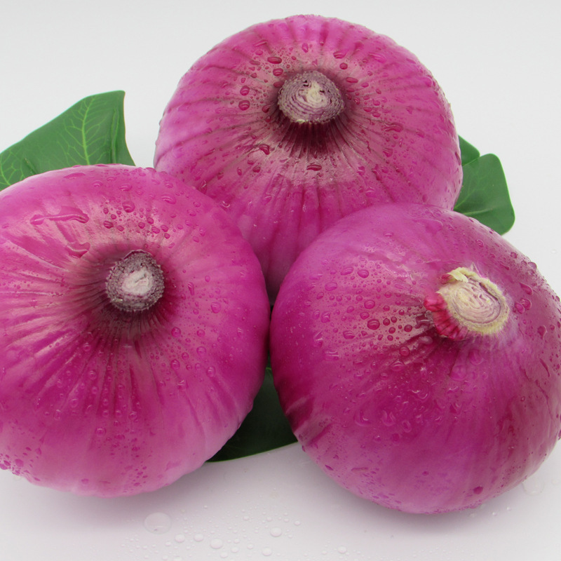 9斤热卖月份全年包装系列简装系列包装方式食用农产品品种红皮洋葱