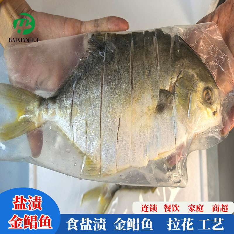 湛江水产盐渍金锠鱼拉花金鲳鱼金昌鱼海鲜水产鲜活商用批发试用装