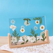 放干花的相框diy摆台手工创意押花植物标本6寸实木画框立体材料包
