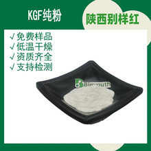 KGF98% 纯粉 重组人角质细胞生长因子 化妆品原料 1g/袋 现货供应