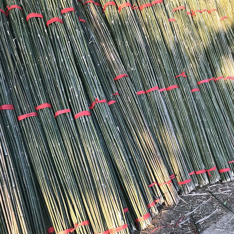 竹竿大量批发小蔬菜爬藤架种菜园搭架豆角架篱笆栅栏彩旗杆细竹子