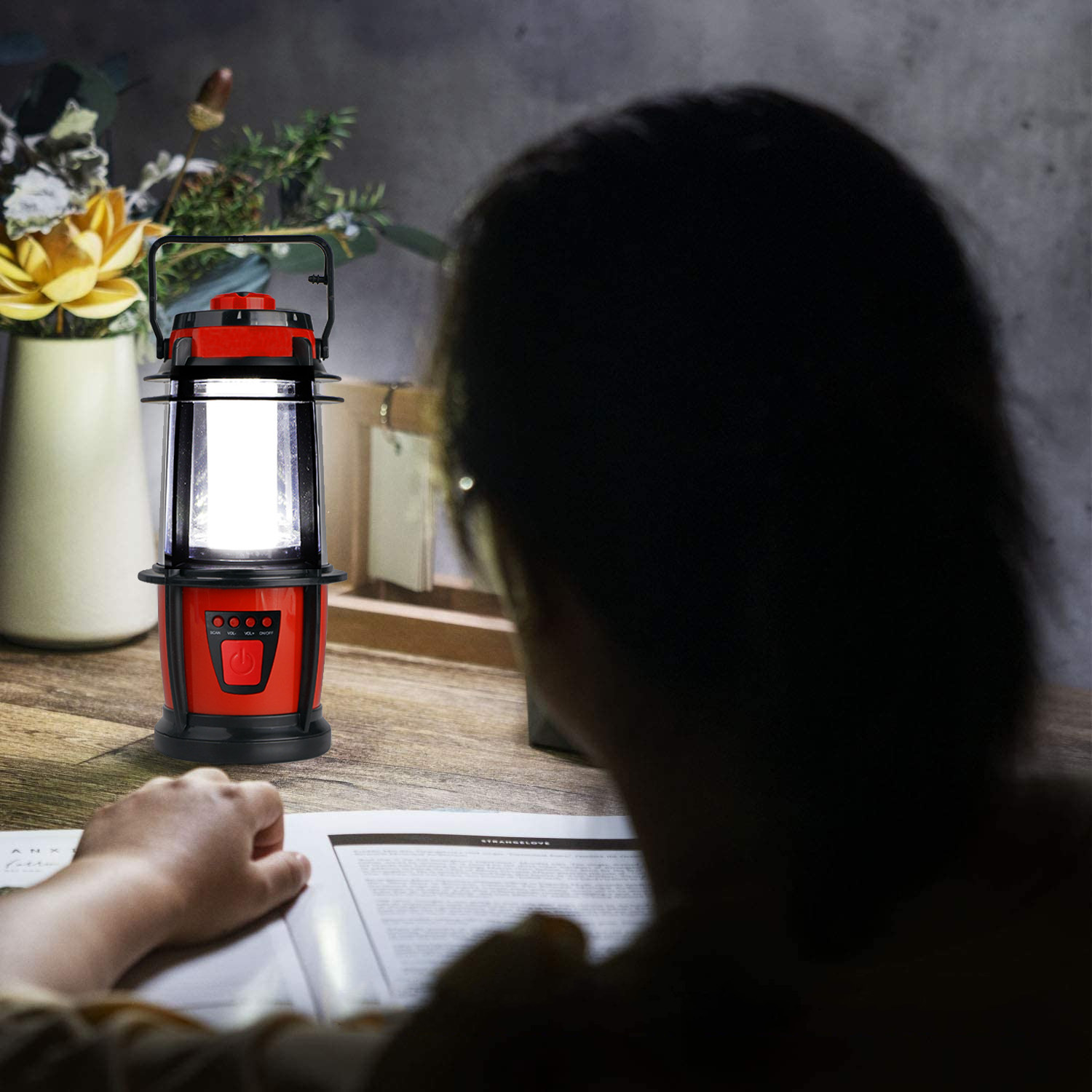 三合一电池16led挂钩手提桌面收音机手电筒野营防水夜钓驱蚊马灯
