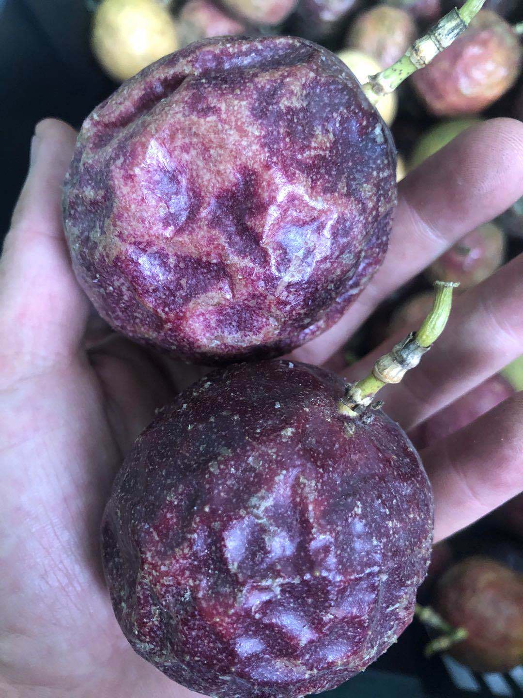 云南百香果花果次果10斤包邮处理果皱皮果实惠装奶茶店挖果酱专用