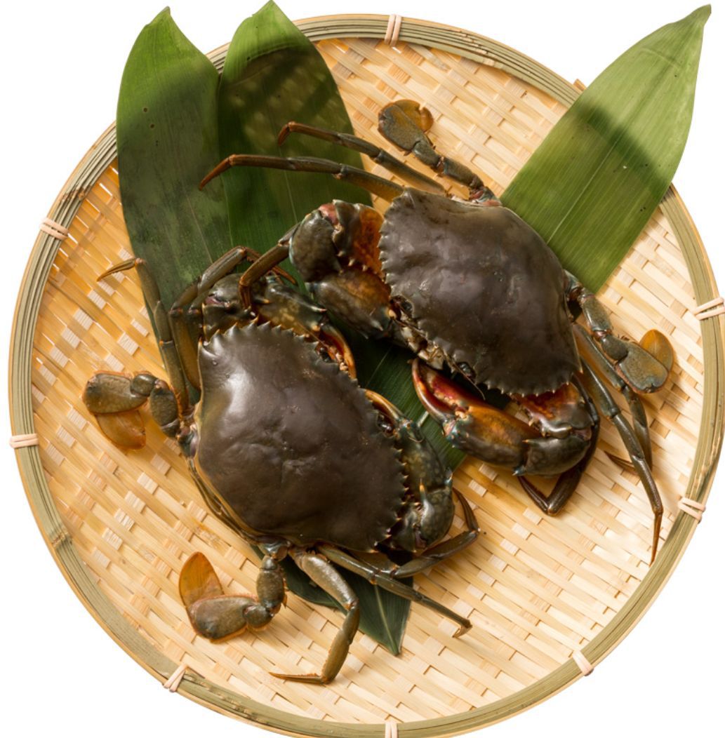 潮洲饶平青蟹海蟹crab肉蟹鲜活螃蟹水产海水养殖对虾海鲜-阿里巴巴