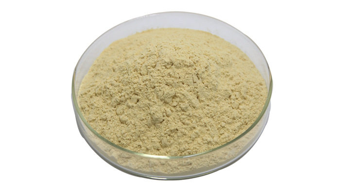 人参皂甙80%深耕十年三方检测 水溶性人参茎叶总皂苷人参提取物
